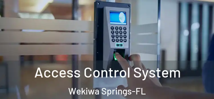 Access Control System Wekiwa Springs-FL