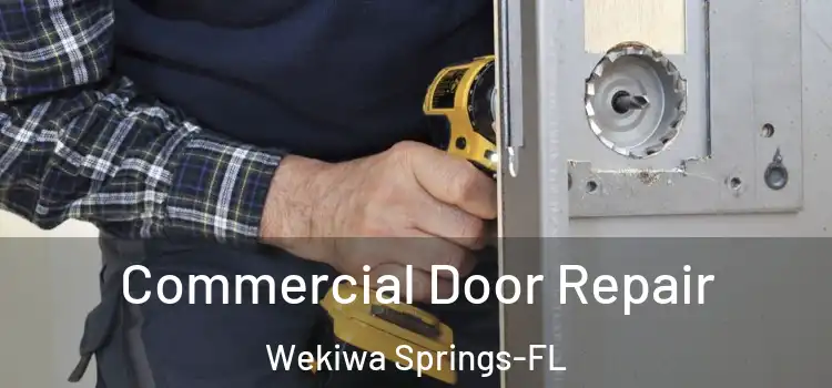 Commercial Door Repair Wekiwa Springs-FL