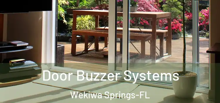 Door Buzzer Systems Wekiwa Springs-FL
