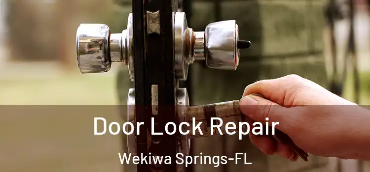 Door Lock Repair Wekiwa Springs-FL