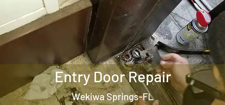 Entry Door Repair Wekiwa Springs-FL