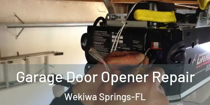 Garage Door Opener Repair Wekiwa Springs-FL