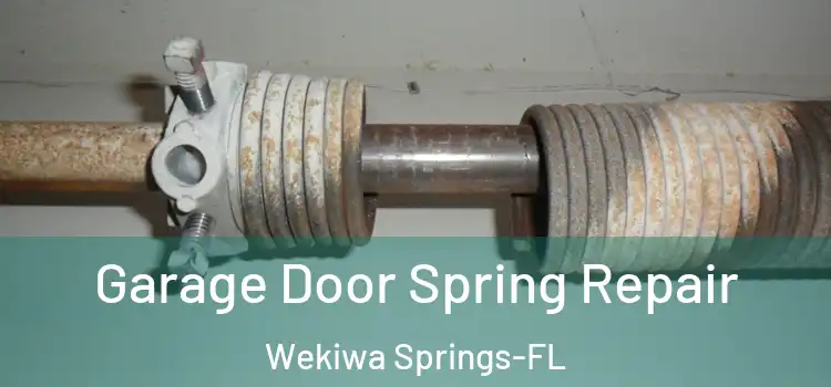 Garage Door Spring Repair Wekiwa Springs-FL