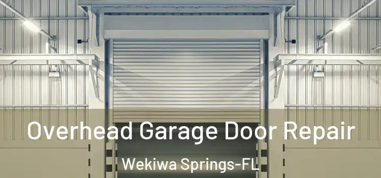 Overhead Garage Door Repair Wekiwa Springs-FL